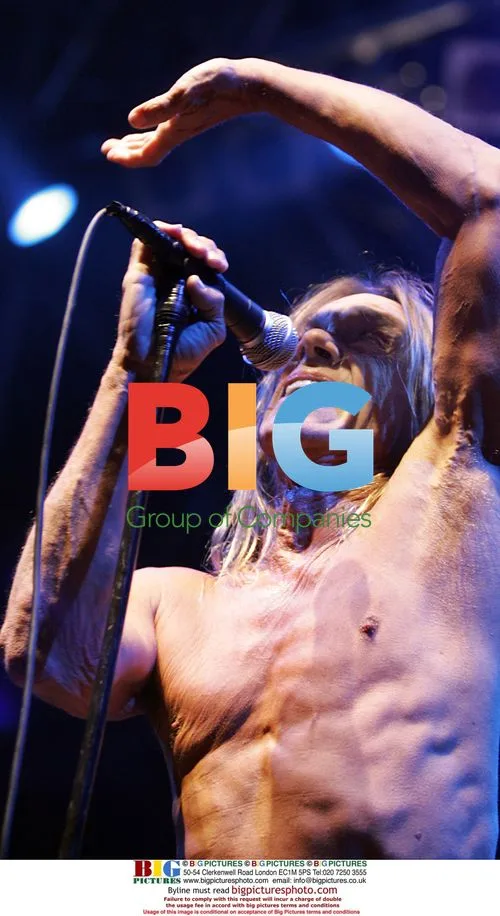 Iggy Pop and The Stooges in concert