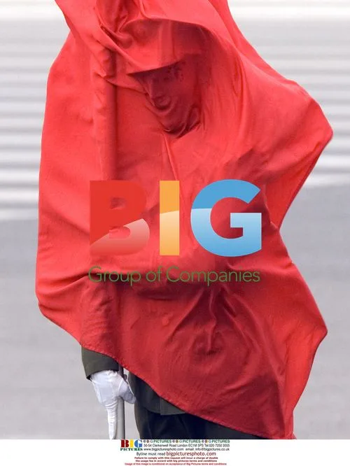Soldier covered by flag at ceremony