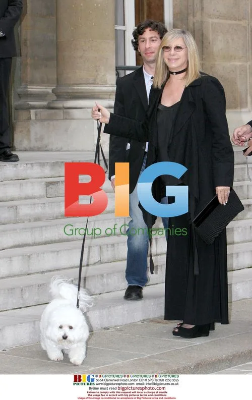 Barbra Streisand Receives Legion of Honour from Sarkozy