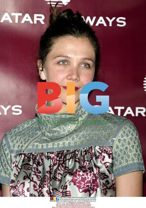 Maggie Gyllenhaal at Qatar Airways Gala in NYC