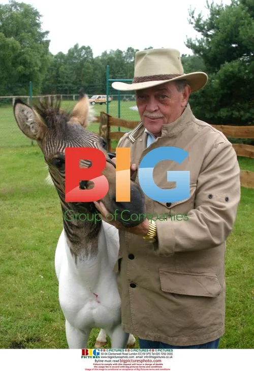 Zorse 'Eclyse' born from horse-zebra breeding