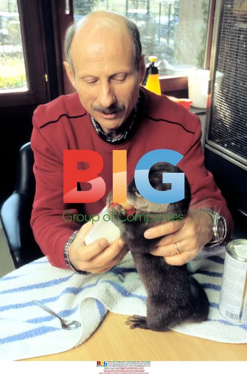 Otter Nemo's Rescue and Friendship with Zoo Director