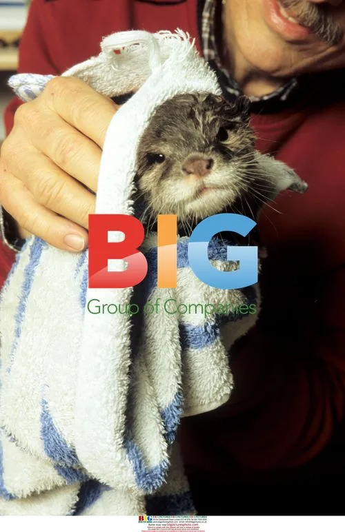 Otter Nemo Rescued by Zoo Director