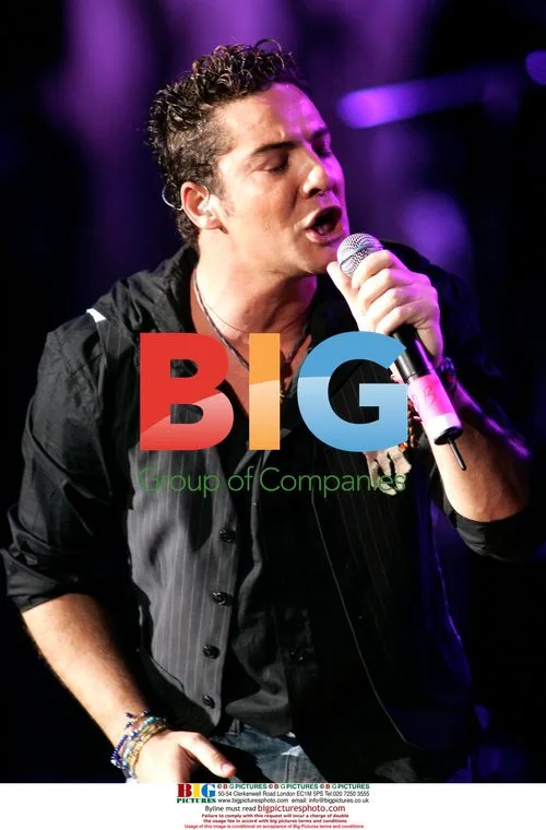 David Bisbal performs in concert