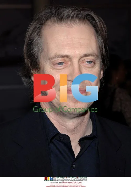 Steve Buscemi at "I Think I Love My Wife" Premiere