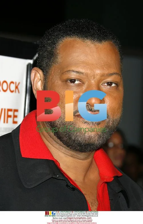 Laurence Fishburne at "I Think I Love My Wife" Premiere