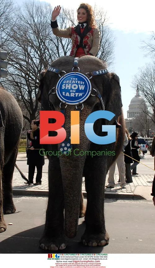 Circus performer rides elephant in parade