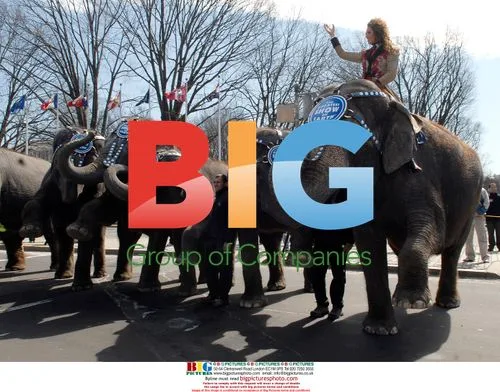 Ringling Brothers Circus Parade Near Capitol