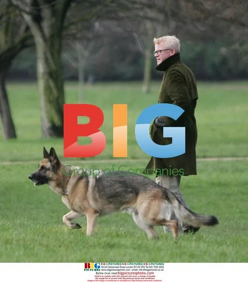 Chris Evans walks dog in park