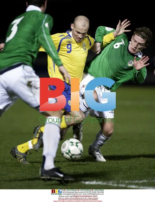 Fredrik Ljungberg with Northern Ireland players