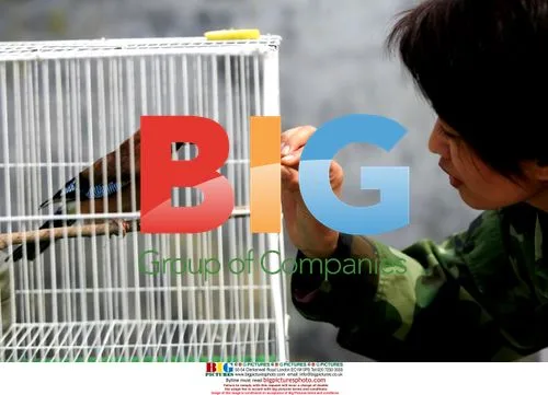 3-Year-Old Jay Learning to Speak in Chinese Zoo
