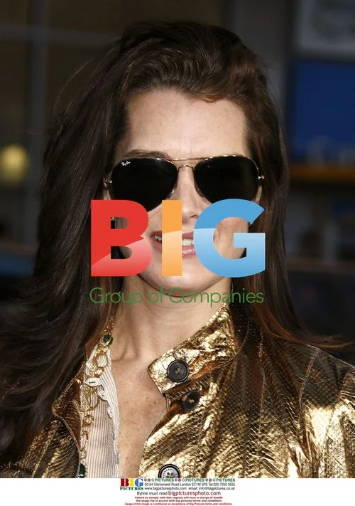 Brooke Shields at 'Blades of Glory' Premiere