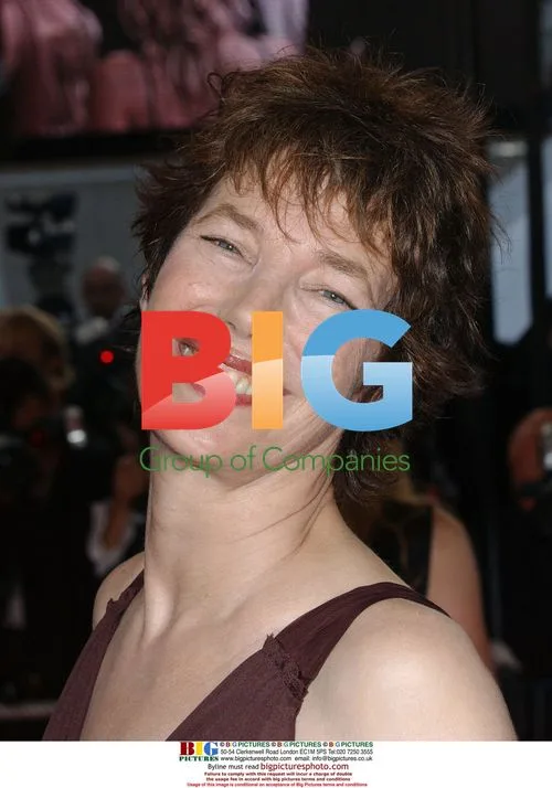 Jane Birkin at "Le Scaphandre Et Le Papillon" Premiere