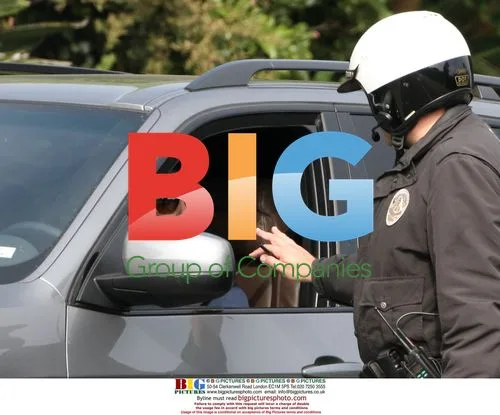 Bridget Moynahan Gets Speeding Ticket