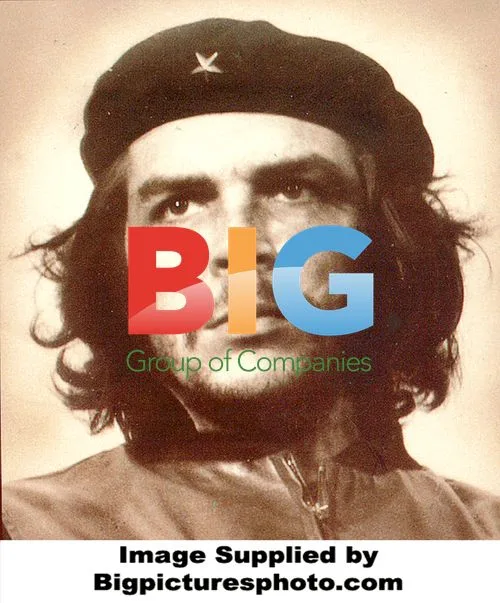 Benicio Del Toro as Che Guevara