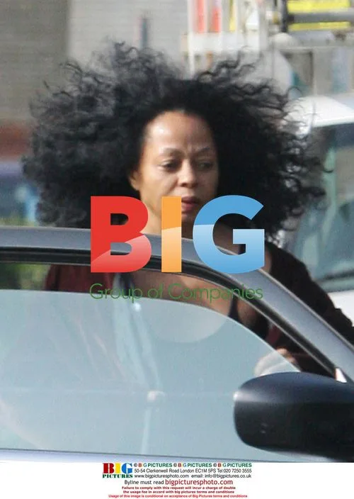 Diana Ross Dines in Revealing Robe