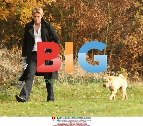 Ziggy Lichman walks dog in London park
