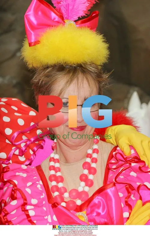Launch of 2007 panto line up at O2 in Finchley
