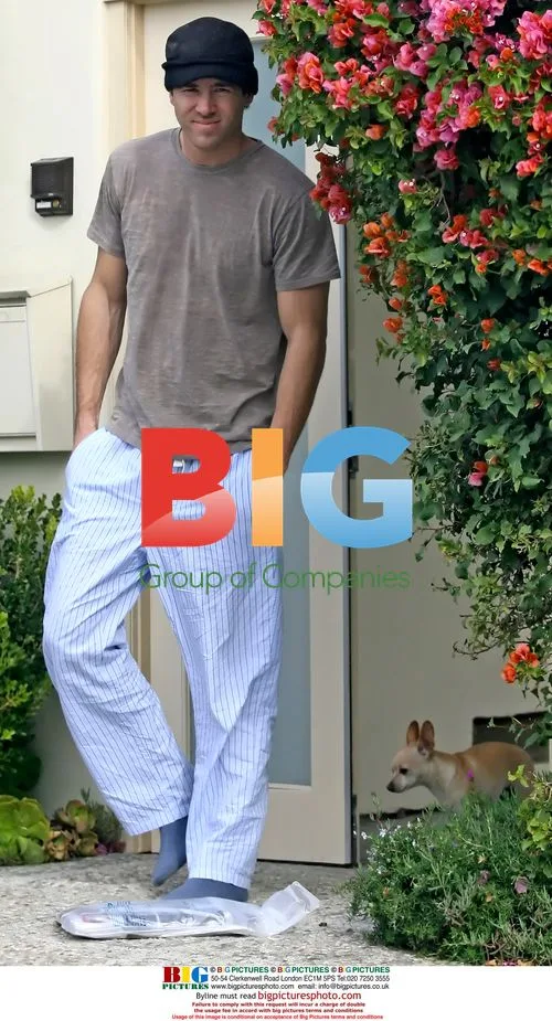 Ryan Reynolds Walks Chihuahua