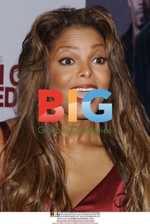 Janet Jackson at 'Why Did I Get Married' Premiere