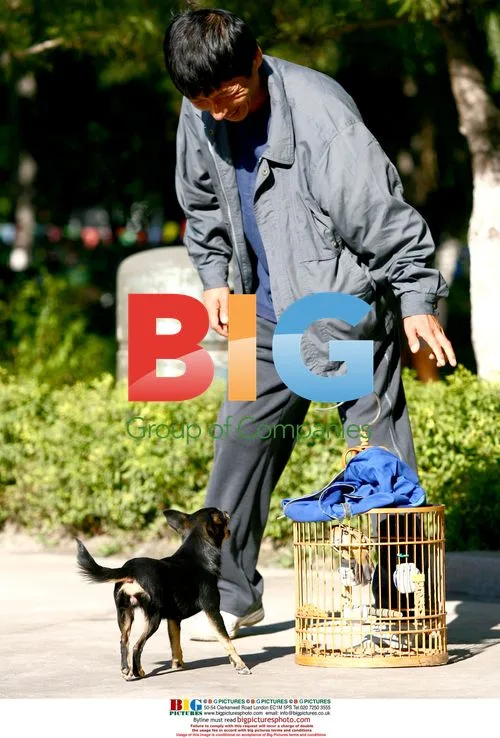 Dog Protects Birdcage in Chinese Park