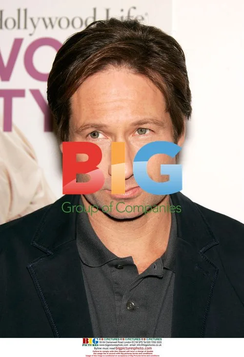 David Duchovny at 2007 Hollywood Style Awards