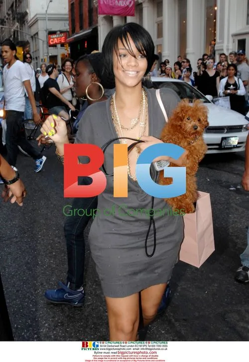 Rihanna Shopping in Soho with Dog