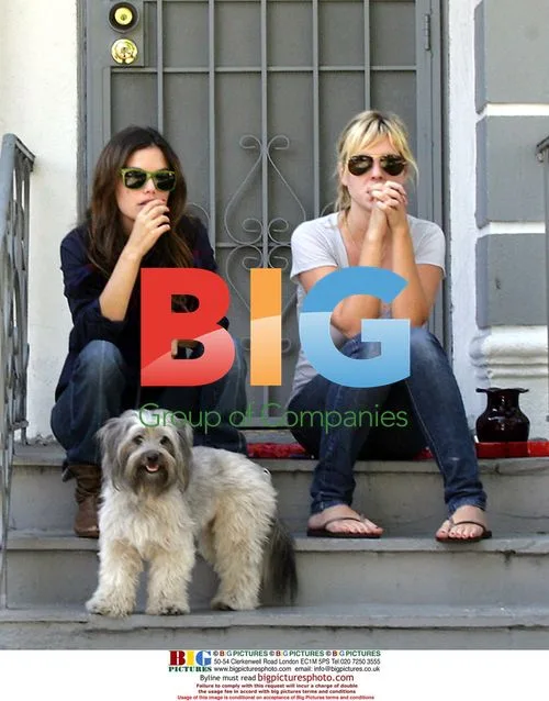 Rachel Bilson Takes Dog for Walk in LA