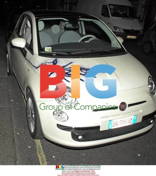 Tracey Emin's Customized Fiat 500