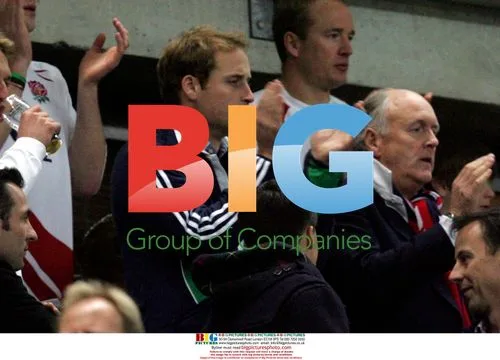 Princes William and Harry at Rugby World Cup Final