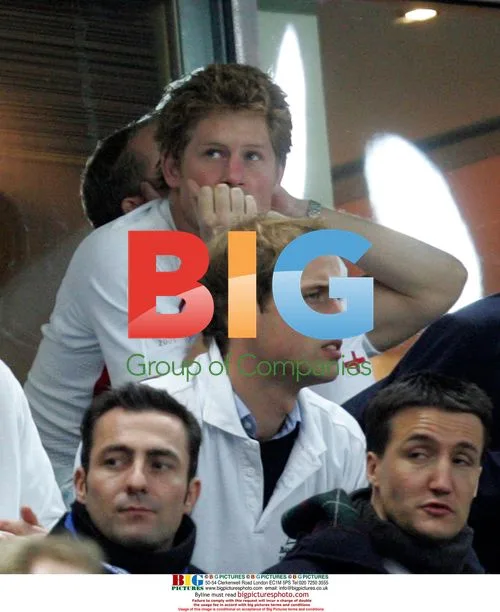Princes William and Harry at Rugby World Cup Final