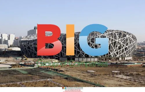 Beijing National Stadium Construction