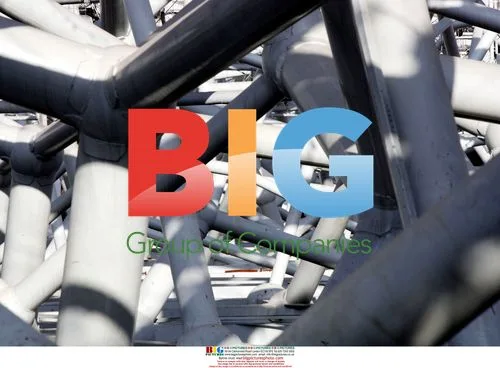 Beijing National Aquatics Center Frame