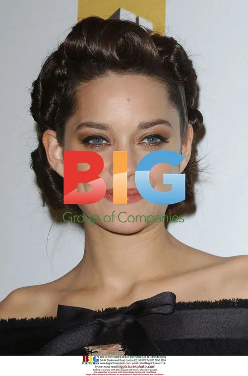 Marion Cotillard at Hollywood Awards Gala