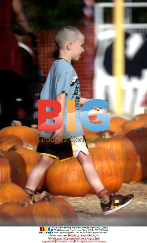Madonna's Kids at Pumpkin Patch