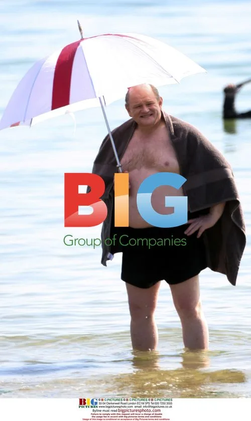 Brendan Gleeson as Winston Churchill