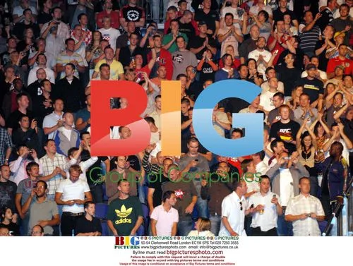 Huge Crowd at UFC 75 in London