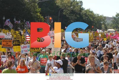 Protesters Arrested at Anti-Iraq War Demonstration