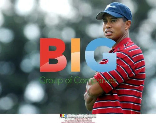 Tiger Woods at 2007 Presidents Cup