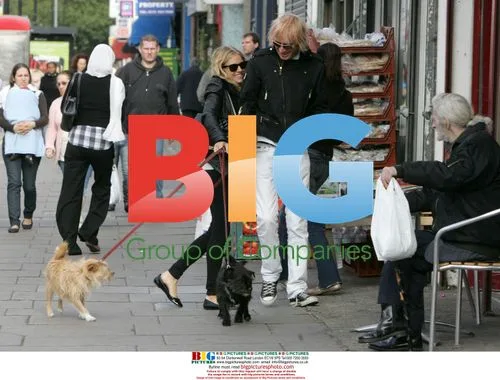 Sienna Miller and Rhys Ifans Walk Dogs