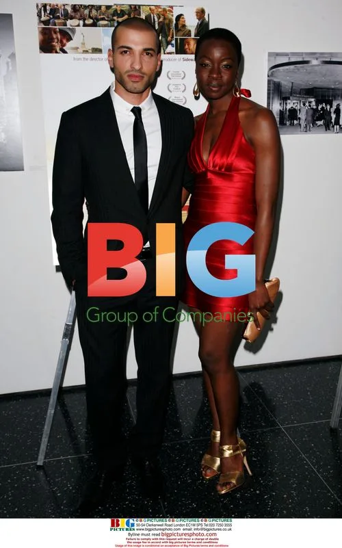 The New York Premiere of "The Visitor"