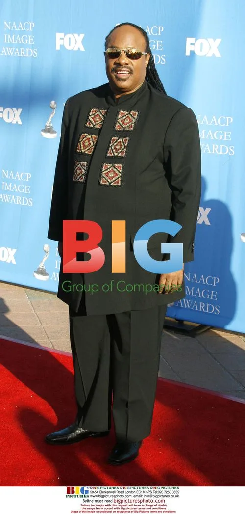 Stevie Wonder at NAACP Image Awards