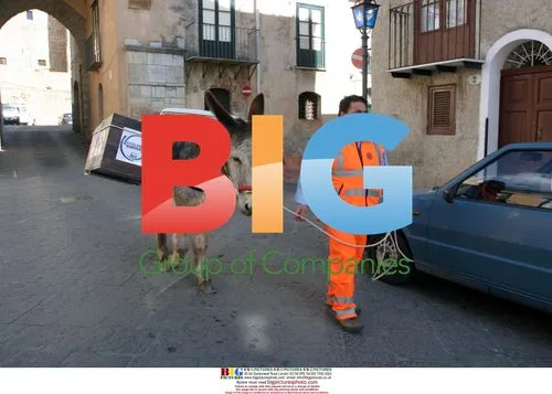 Donkeys Collect Garbage in Italian Village