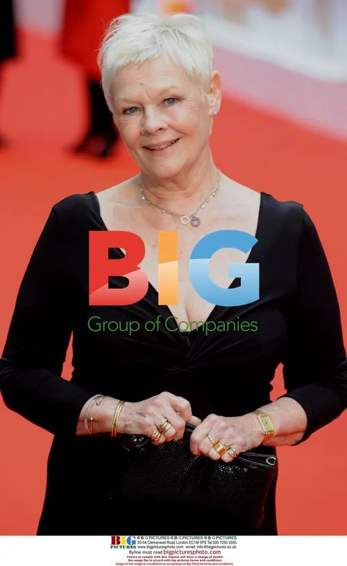 Judi Dench at BAFTA TV Awards