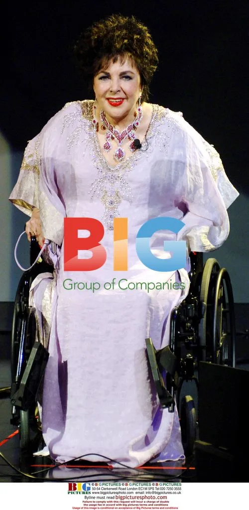 Elizabeth Taylor at AIDS Fundraiser