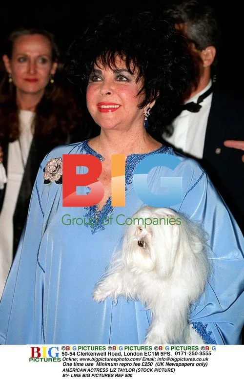 Elizabeth Taylor in Hospital