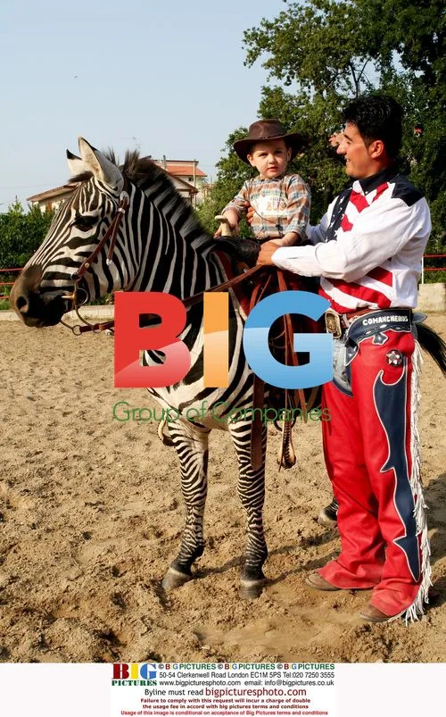 Man and his Domesticated Zebra