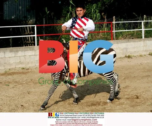 Giampiero Lancellotti with Domesticated Zebra