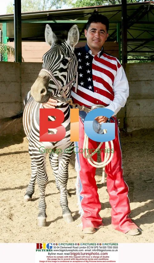 Giampiero Lancellotti and Domesticated Zebra