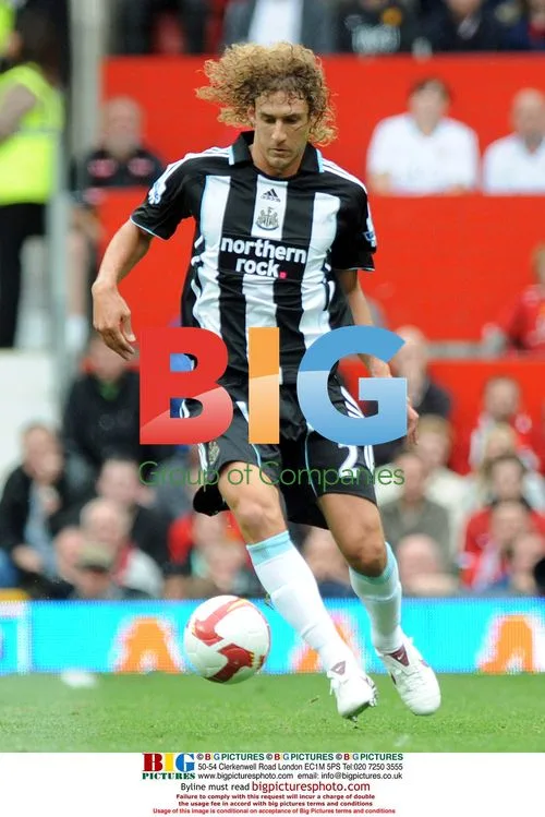 Fabricio Coloccini of Newcastle United at Premier League match